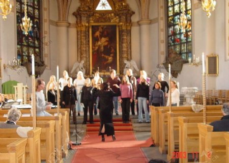 瑞典教堂的唱诗班图片