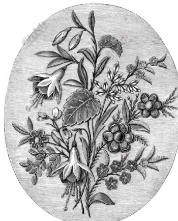 黑白花边植物纹样线条图片