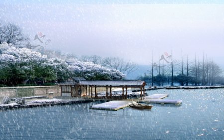 风雪下的湖边景色图片