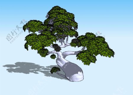 卡通树3D模型图片