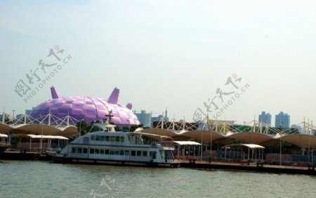 黄浦江边的世博会建筑图片