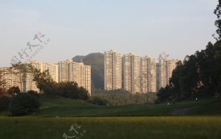 中山高尔夫球场图片