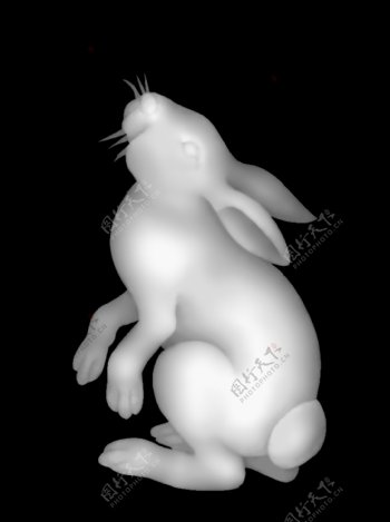 兔子灰度图图片
