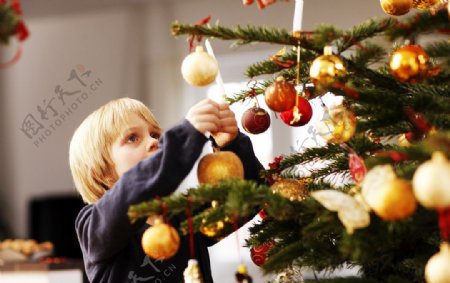 国外欧洲圣诞节小孩子挂礼品在圣诞树图片