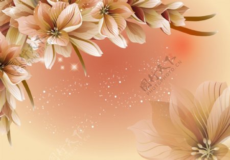 金色梦幻花卉背景图片
