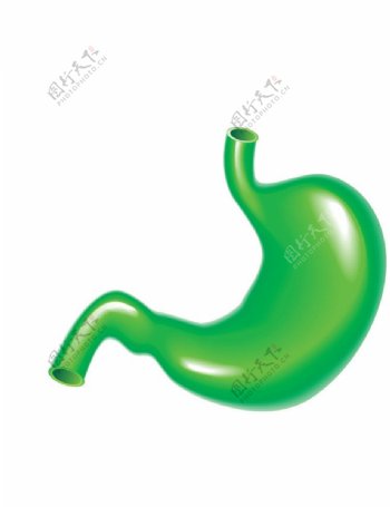 绿色胃图片