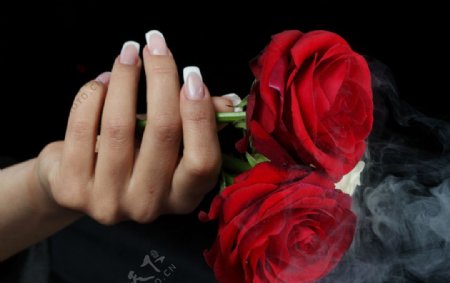 美甲玫瑰烟雾图片