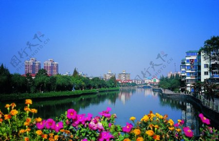 宁波翠柏河图片