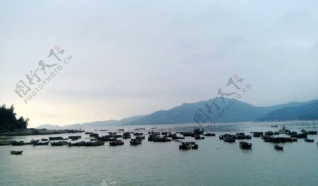 停泊的渔船秦屿图片