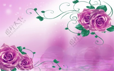紫色妖姬玫瑰花壁画图片