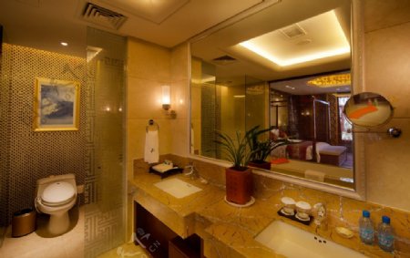 山东聊城阿尔卡迪国际温泉酒店套房卫生间图片