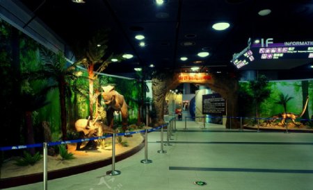 重庆科技馆恐龙展厅图片