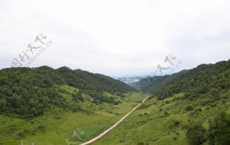 关山草原牧场图片