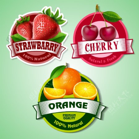 矢量水果标签图片