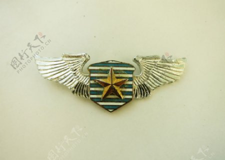 驻港部队空军胸标图片