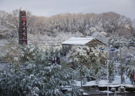 2012年第一场雪图片