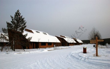 敖鲁古雅乡冬天建筑风图片