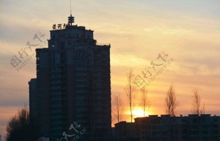 冬春夕阳红图片