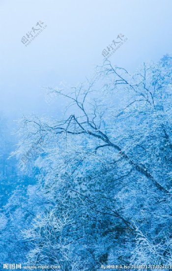 西岭雪山图片