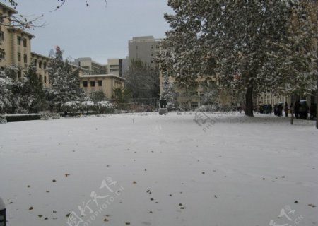 北科雪景图片