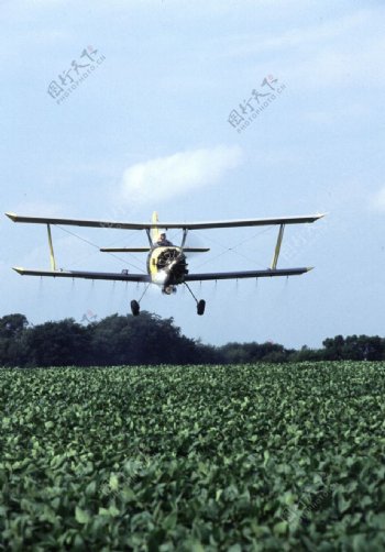 农用飞机菜地摄影图片
