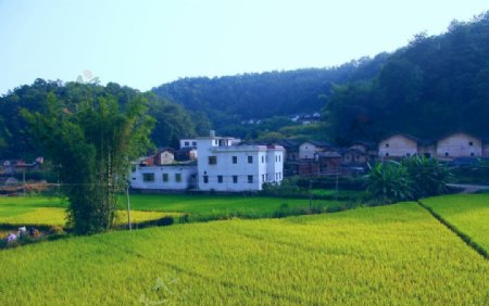 客家民俗村风景梅县荷泗蕉坑图片