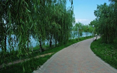 北京奥体森林公园湖边小路图片