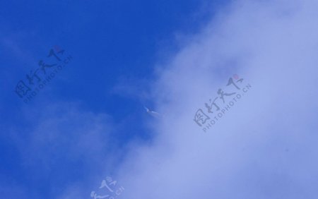 蓝天飞行高入云端图片