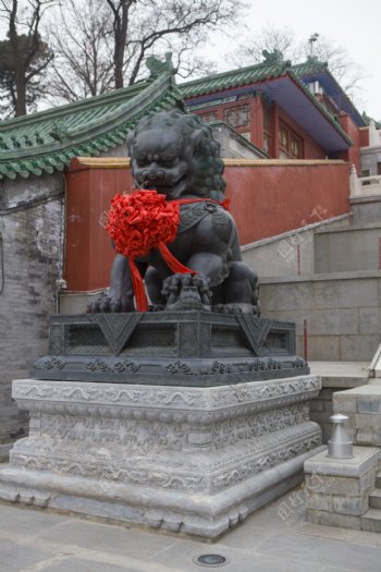 北京八大处公园石狮图片