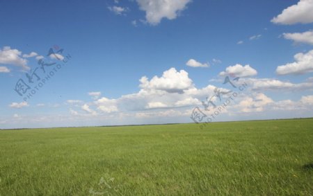 科尔沁草原图片