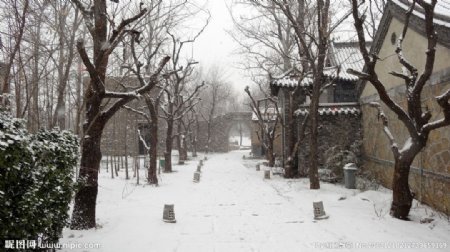 黄叶村雪景图片