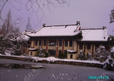 南京师范大学校园雪景图片