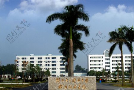 桂林电子科技大学北海校区校门图片