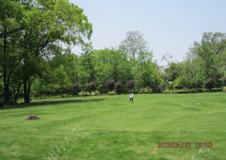 泗洲公园一角图片