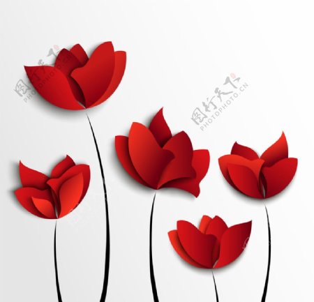3d纸张花卉背景图片