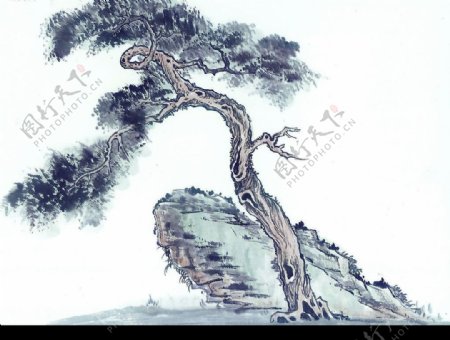 奇松怪石中国传统艺术文化图片