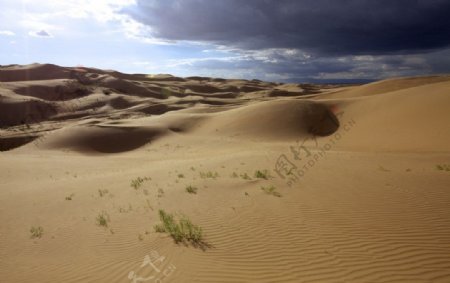 乌云下的沙漠图片