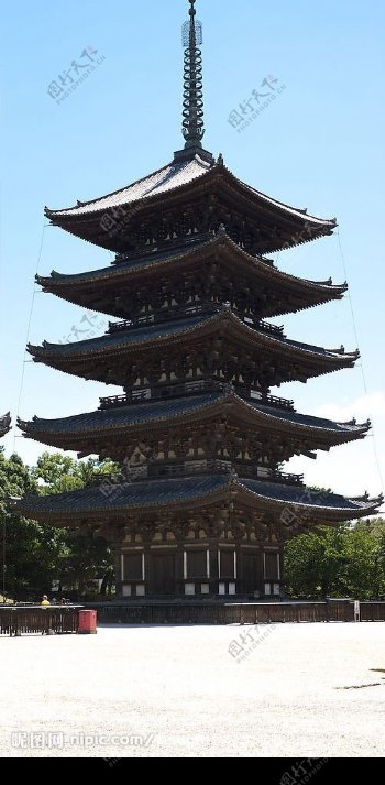 奈良的兴致福寺院的五重塔图片