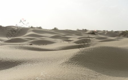 塔克拉玛干大沙漠摄影图图片