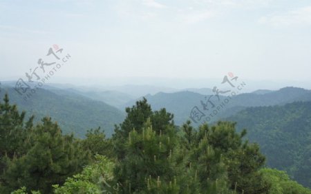 森林山顶风光图片