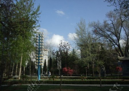 校园风景图片