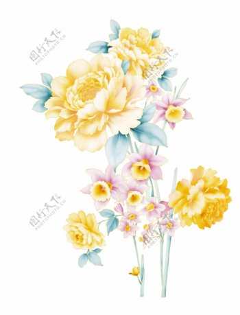 手绘PSD花卉CS2图片