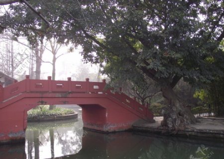 静水之红桥图片