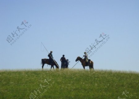 草原的牧马人图片