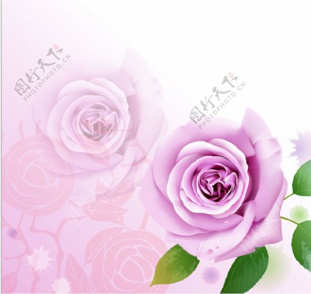 紫色玫瑰移门图片