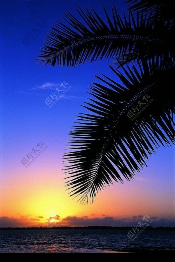海灘夕陽图片