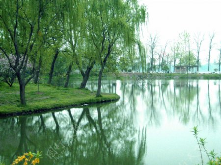 南京玄武湖风景图片