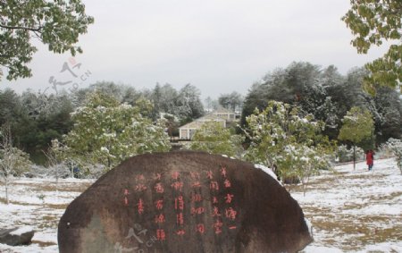 江南校园雪景图片