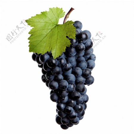 成熟葡萄高清图片