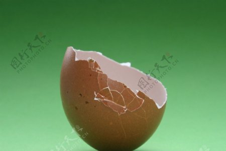 鸡蛋壳图片